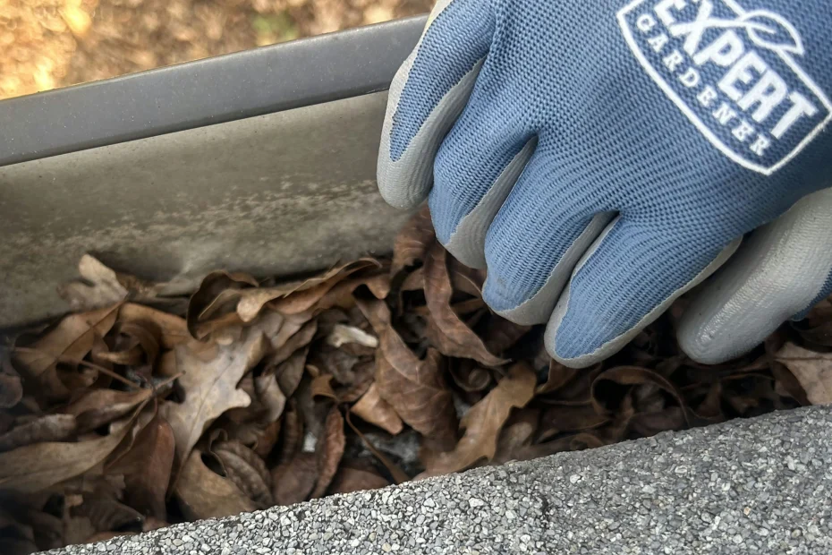Ave Maria Gutter Cleaning