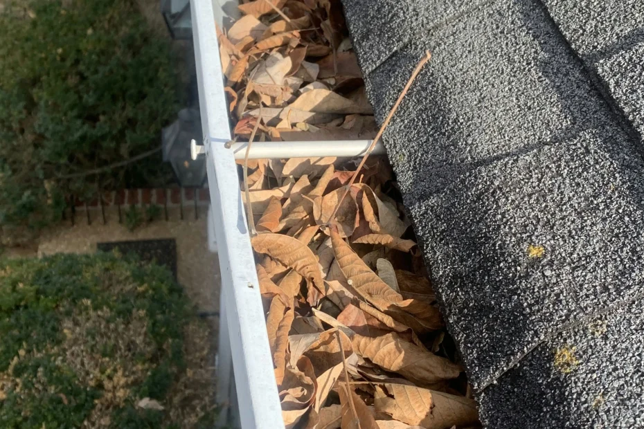 Ave Maria Gutter Cleaning