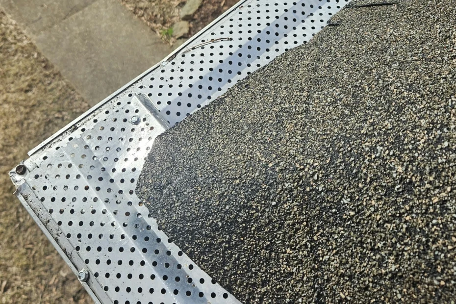 Ave Maria Gutter Cleaning
