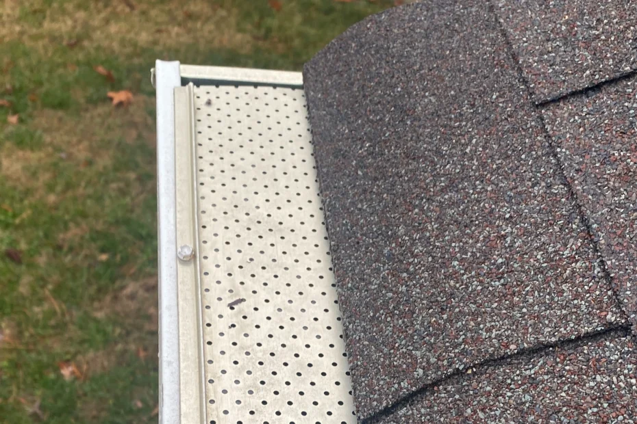 Ave Maria Gutter Cleaning