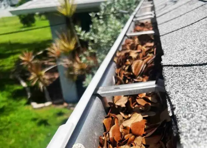 Gutter Cleaning Ave Maria FL home page